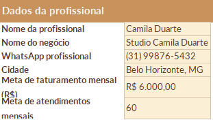 Dados da profissional e metas de faturamento e atendimentos