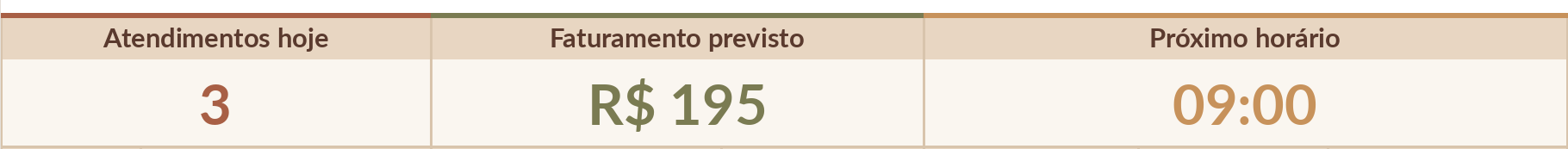 Resumo do dia: atendimentos de hoje, faturamento previsto e próximo horário